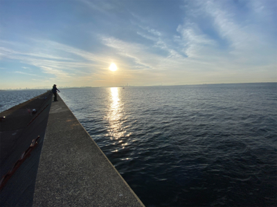 渋い中にもメジロゲット。夕からサバ祭り