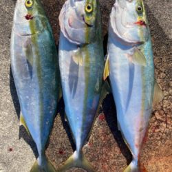 ハマチ3安打！2021ライトゲーム第34戦…