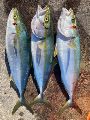 ハマチ3安打！2021ライトゲーム第34戦…