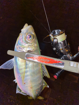 シャローフリークでドリフト