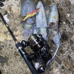 ガイドエギング