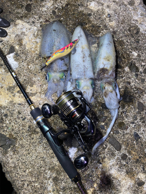 ガイドエギング