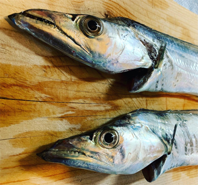 西宮ケーソン・タチウオようやく開幕!