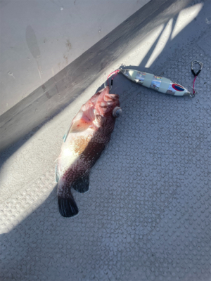 丹後沖中深海ジギング