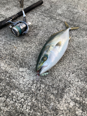 無反応シラスパターン