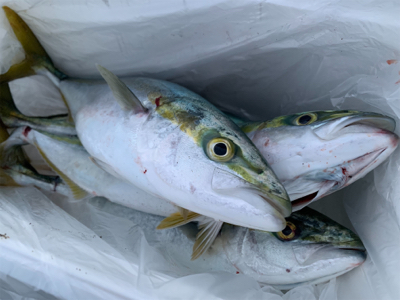 気まぐれ釣行で無事爆発！