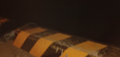 初冬のタケノコ掘り