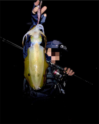 そろそろキロアップを…