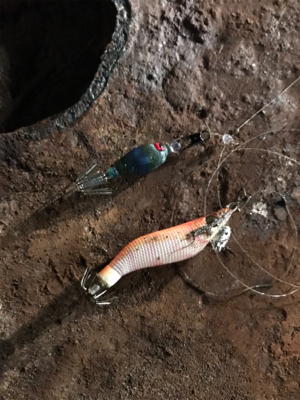 ヒイカ釣りに行ってみた。