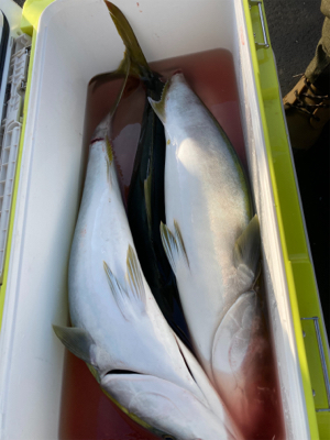 今秋初ジギング