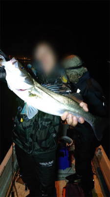 ビギナーでも爆釣　ボートシーバス