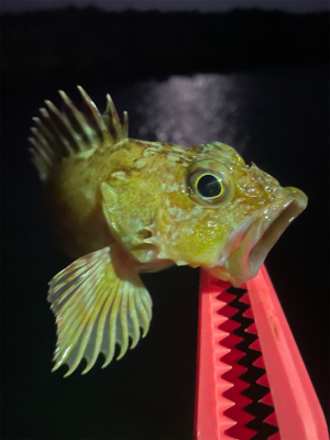 寒さで準備をサボったせいで