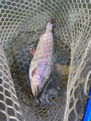 フィシングエリアほのぼの