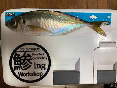 尺超え獲ったど〜