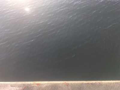 ノマセ、サバのサイズが‥