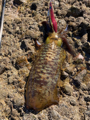 爆風！ランガン！連チャン！