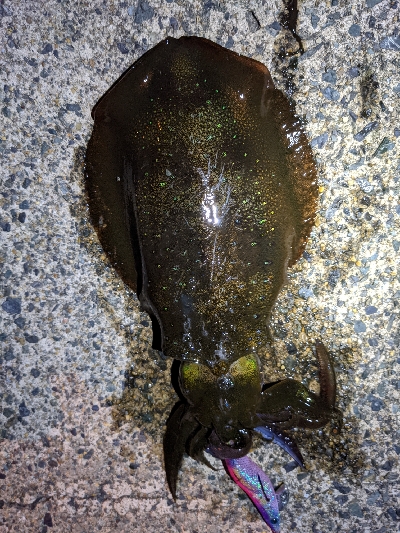 仕事終わりに…