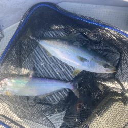 久しぶりの牛窓沖