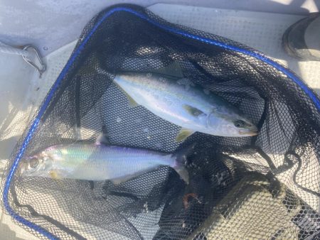 久しぶりの牛窓沖