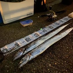 湾奥まで入ってきましたね