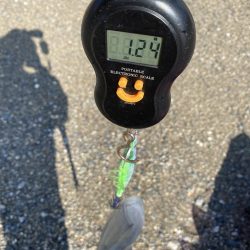 またティップランで