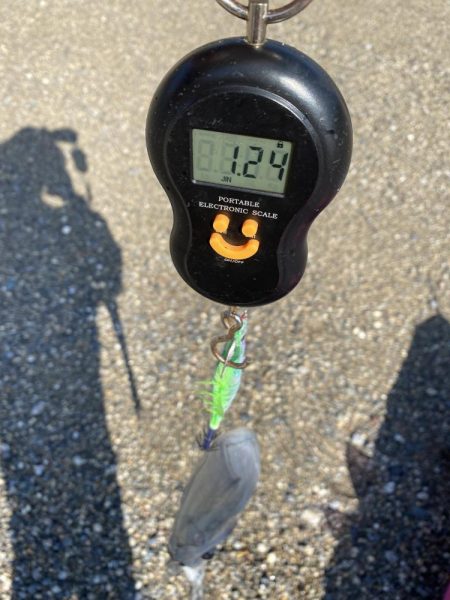 またティップランで