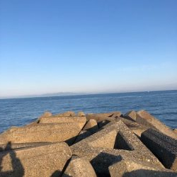 ショアスパルタンぶちまがり