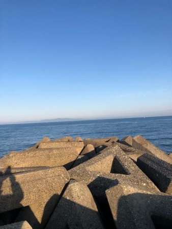 ショアスパルタンぶちまがり