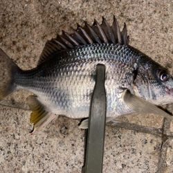 爆裂マイクロテンヤ