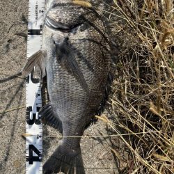 イチノ兄弟、釣果！