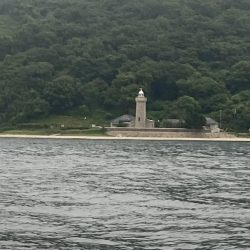 コノシロの泳がせ釣り第2回目