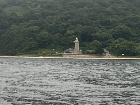 コノシロの泳がせ釣り第2回目