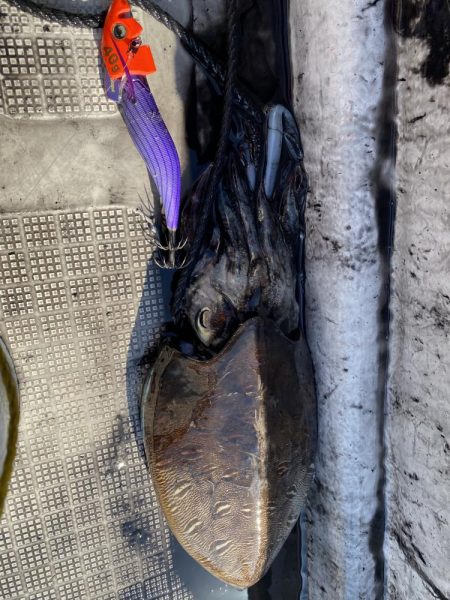 レンタルボートでいろいろ