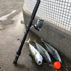 久しぶりの３安打猛打賞。