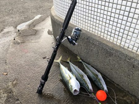 久しぶりの３安打猛打賞。