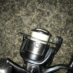 良型太刀魚連発、青物も居た