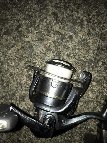 良型太刀魚連発、青物も居た