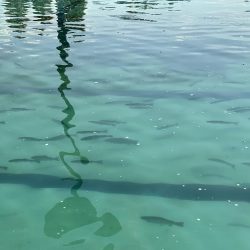 エリアトラウトin亀岡市