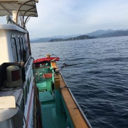 たかたか釣り日記