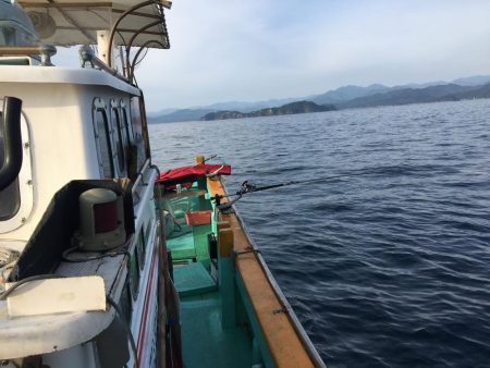 たかたか釣り日記