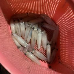 今回は渋かったです。