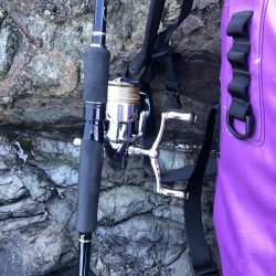 寝坊からのエギング