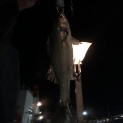 南港　夕方から、