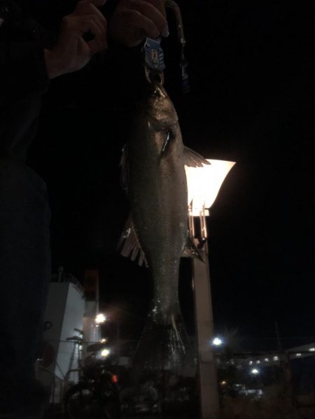 南港　夕方から、