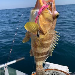 シケの合間にアマダイ狙い