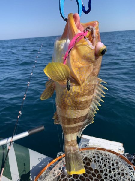 シケの合間にアマダイ狙い