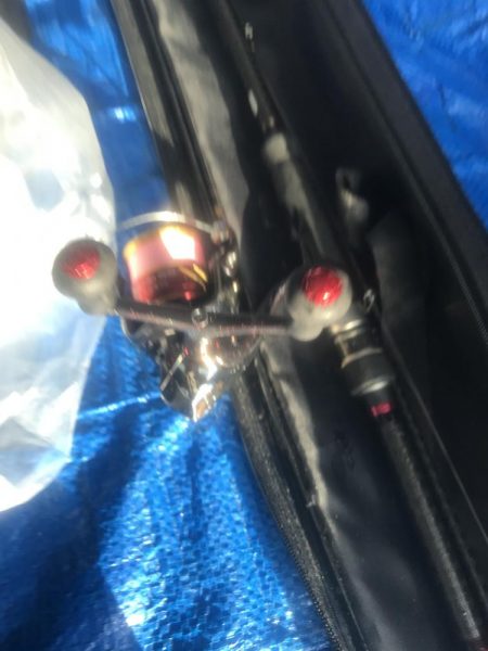 良型カマス好釣‼︎