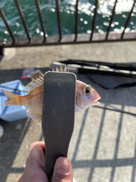 西側はフグ地獄