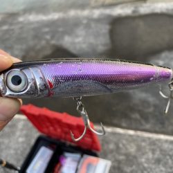 やっぱりポッパー最高！