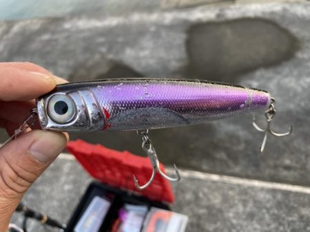 やっぱりポッパー最高！